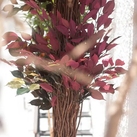 Relax شقة فندقية